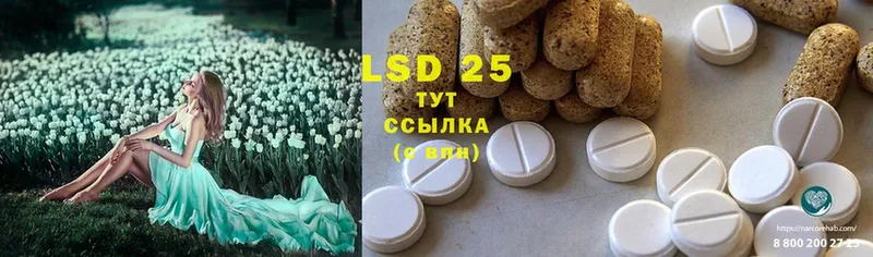 LSD-25 экстази кислота  Зверево 